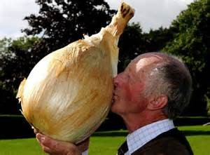 Giant Onion.jpg